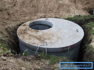 Beton kestane Beton kestane