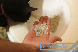 Hayvanın huzuru için biraz dolgu yapabilirsin. Hayvanın huzuru için biraz dolgu yapabilirsin.