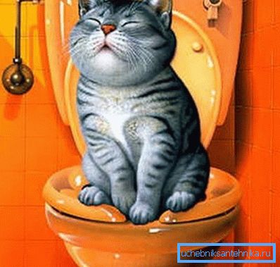 Mutlu kedi Mutlu kedi