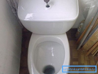 Hala evcilleştirilmemiş beyazlık Hala evcilleştirilmemiş beyazlık