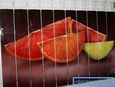 Gelişmiş bir hayal gücünüz varsa, sıradan piller bile dahili bir özellik haline gelebilir (fotoğrafta canlı bir örnek) Gelişmiş bir hayal gücünüz varsa, sıradan piller bile dahili bir özellik haline gelebilir (fotoğrafta canlı bir örnek)