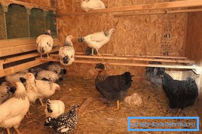 Küçük odalar için uygun doğal seçenek. Küçük odalar için uygun doğal seçenek.