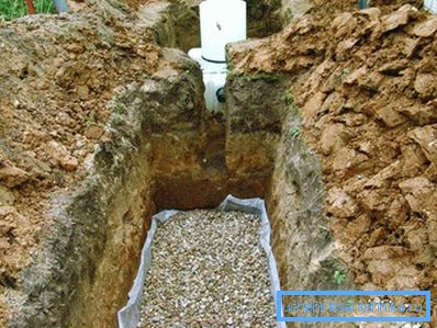 1131 Filtrasyon minderi