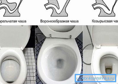 Tuvalet Kase Şekiller Tuvalet Kase Şekiller