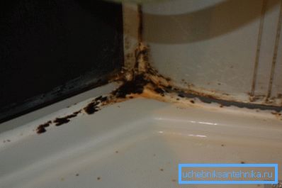 Duş kutusunda kalıp fotoğrafı Duş kutusunda kalıp fotoğrafı