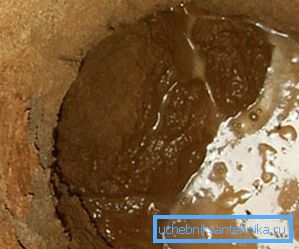 Benimkilerde quicksand fotoğrafları. Benimkilerde quicksand fotoğrafları.