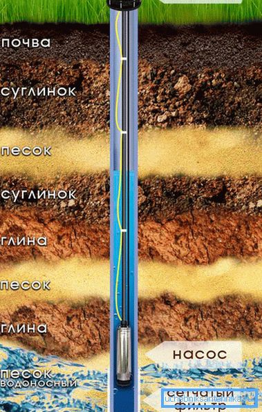 Gövde Fonksiyonları Gövde Fonksiyonları