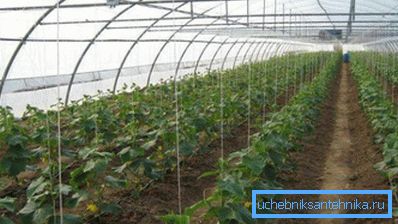 Kullanılan ısıtma sistemi, agroteknik yapının alanına göre seçilir. Kullanılan ısıtma sistemi, agroteknik yapının alanına göre seçilir.