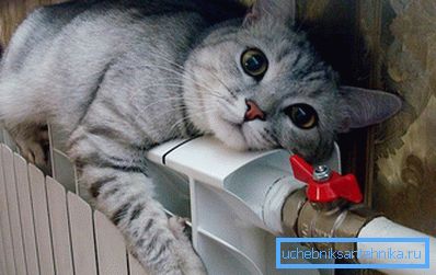 Kedi bir alüminyum radyatör üzerinde ısıtılır Kedi bir alüminyum radyatör üzerinde ısıtılır