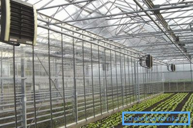 Fotoğrafta - serada kurulu elektrikli ısıtma radyatörleri Fotoğrafta - serada kurulu elektrikli ısıtma radyatörleri