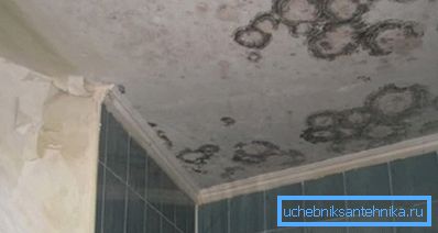 Fotoğrafta - havalandırma eksikliği sonuçları (muhtemelen, koku uygundur) Fotoğrafta - havalandırma eksikliği sonuçları (muhtemelen, koku uygundur)
