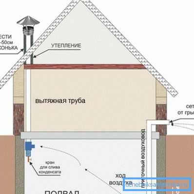 Bodrumun özel bir evde pasif havalandırması Bodrumun özel bir evde pasif havalandırması