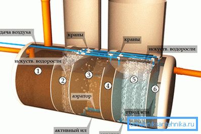 Sabit havalandırma ile septik tank
