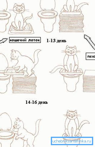 Beceri oluşumu deseni Beceri oluşumu deseni