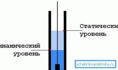 Dinamik ve statik seviyenin normal konumunun şeması Dinamik ve statik seviyenin normal konumunun şeması