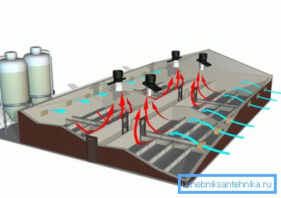 Hayvancılık kompleksinin havalandırma planı Hayvancılık kompleksinin havalandırma planı
