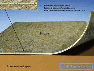 1207 Biomat yapısı