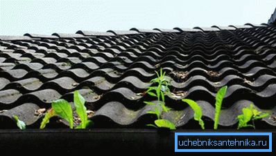 900 Kir oluk içinde birikmiş
