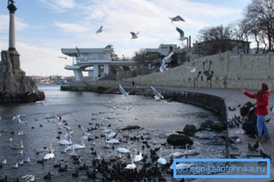 Sivastopol'da kış, şiddet ile ayırt edilmez.